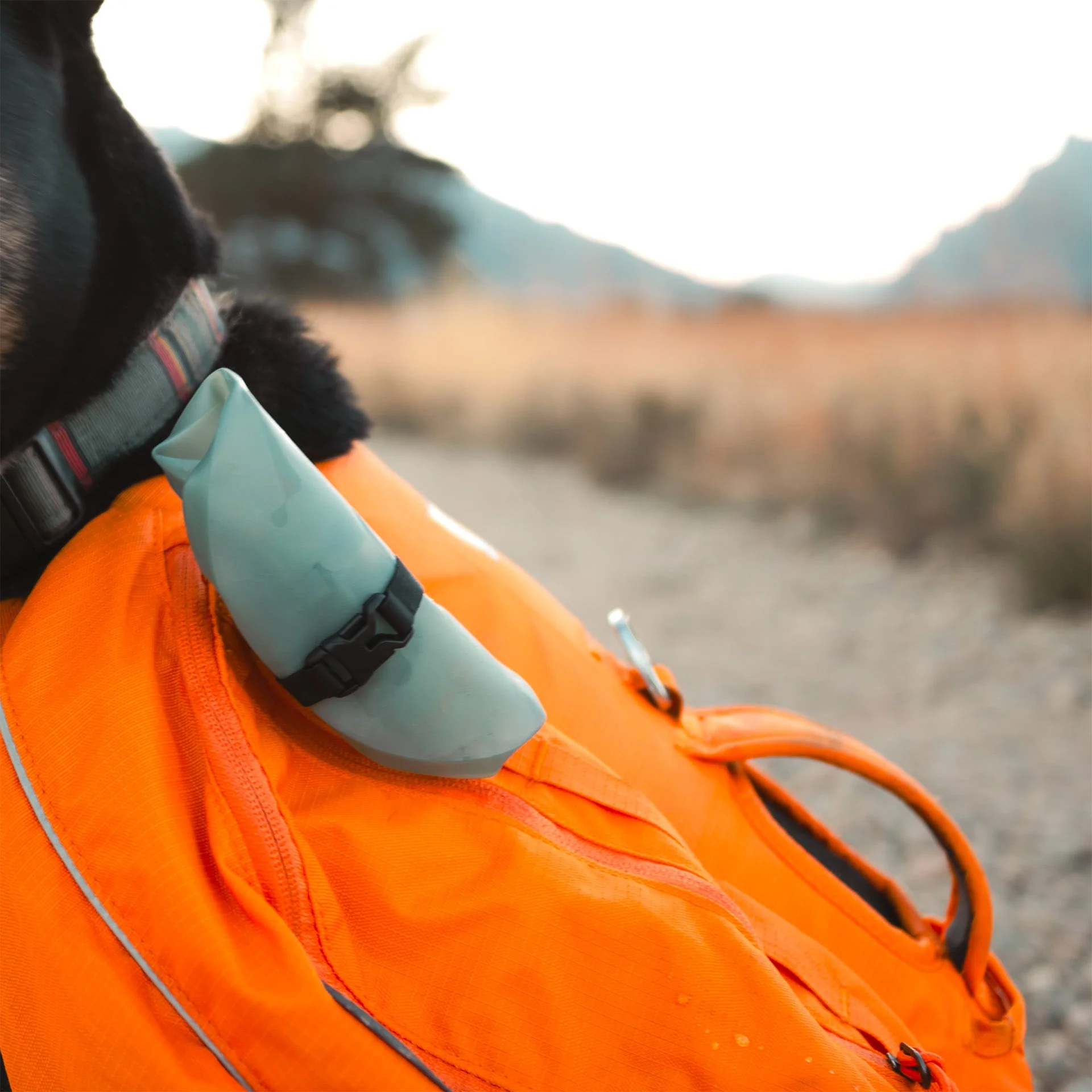 Hydrapak Rover Dog Bowl - Image 4